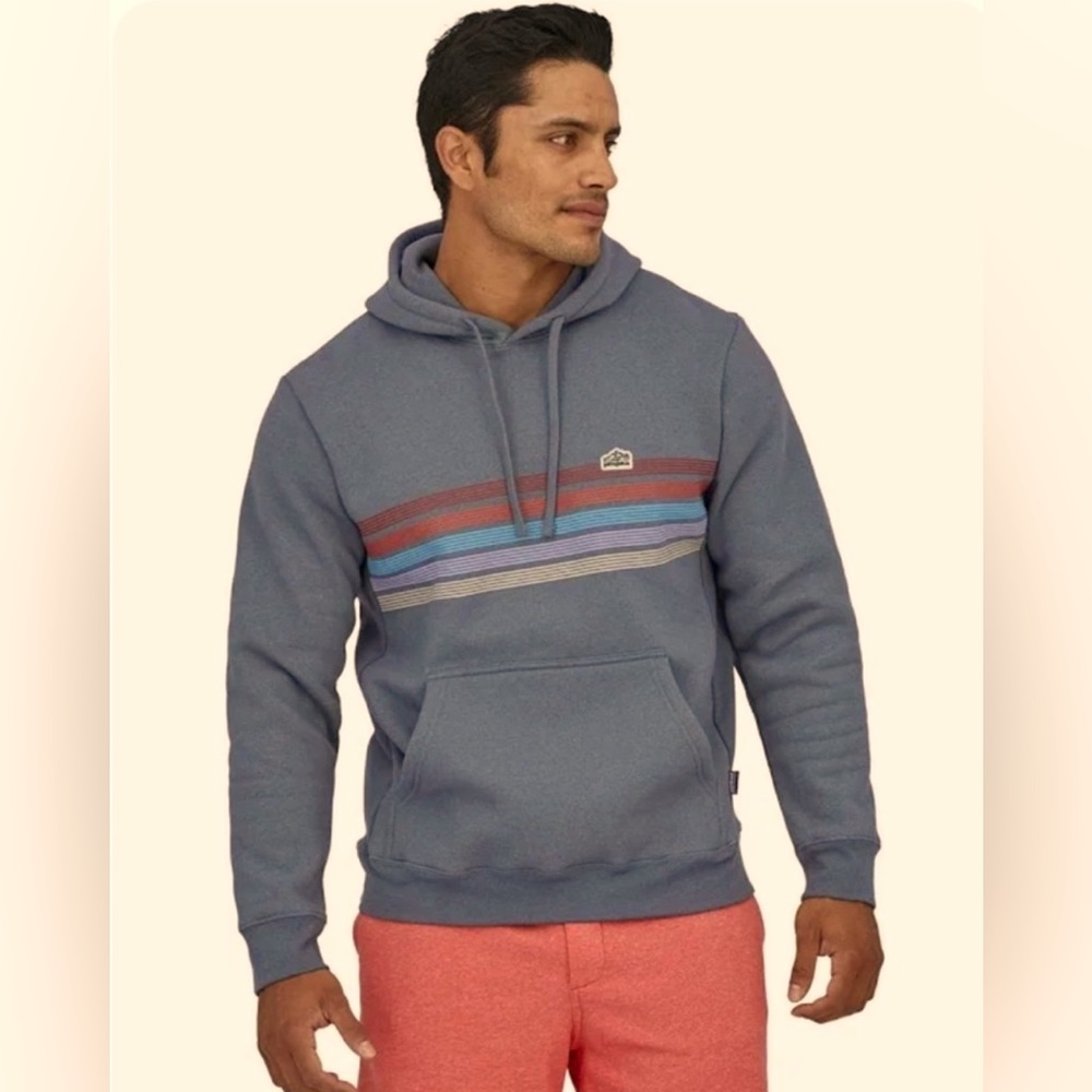 Patagonia Line Logo Ridge Stripe Hoodie